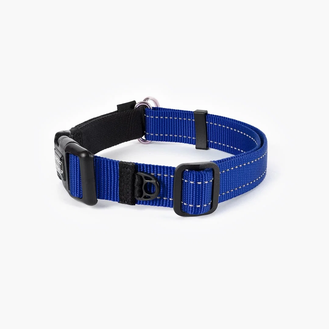 Checkmate™ Collar - Image 14