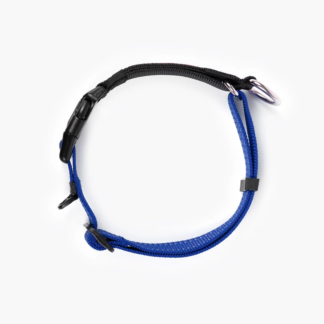 Checkmate™ Collar - Image 15