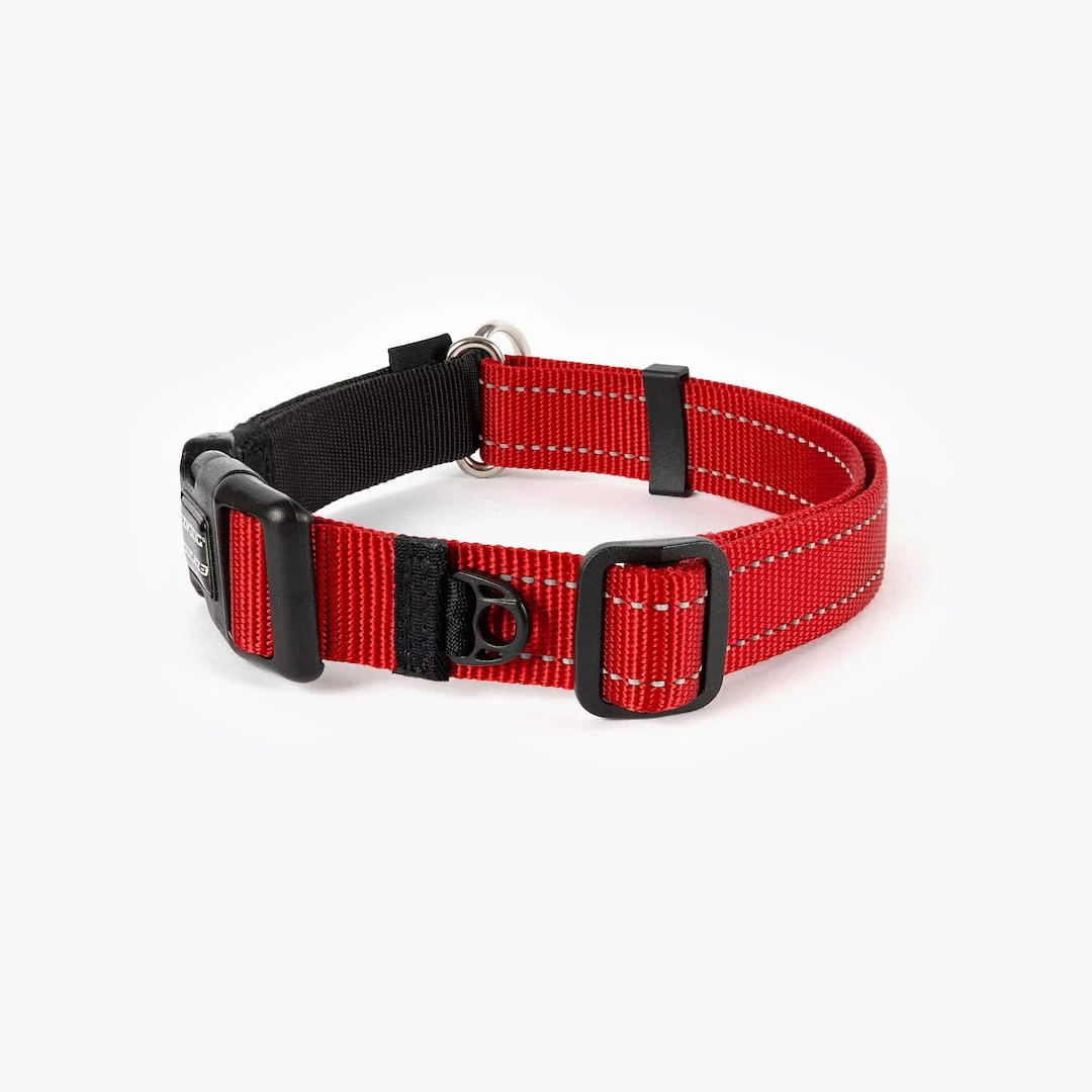 Checkmate™ Collar - Image 19