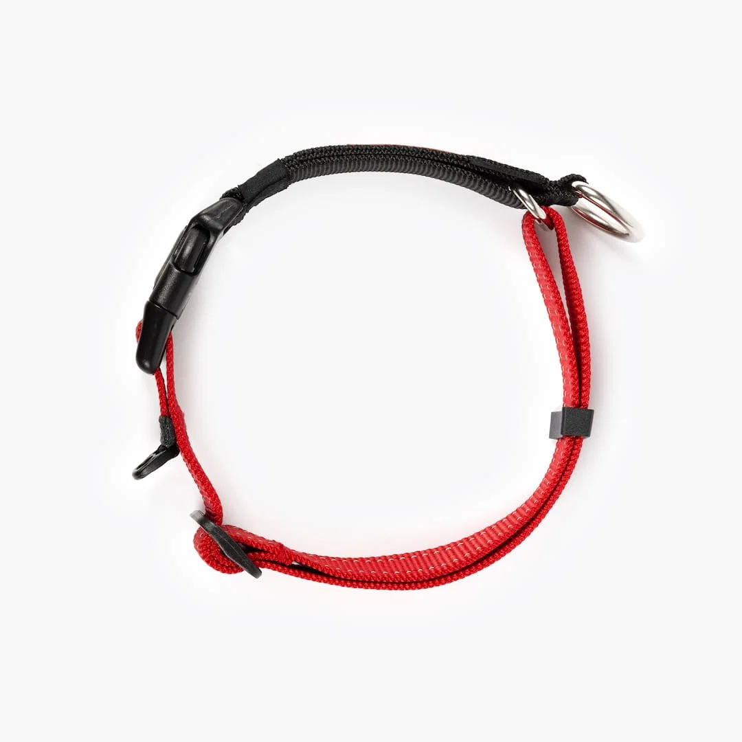 Checkmate™ Collar - Image 20