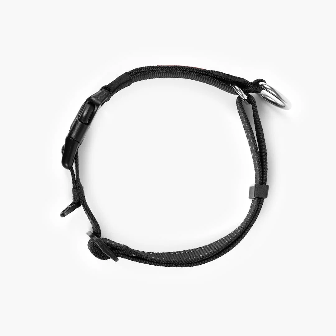 Checkmate™ Collar - Image 25