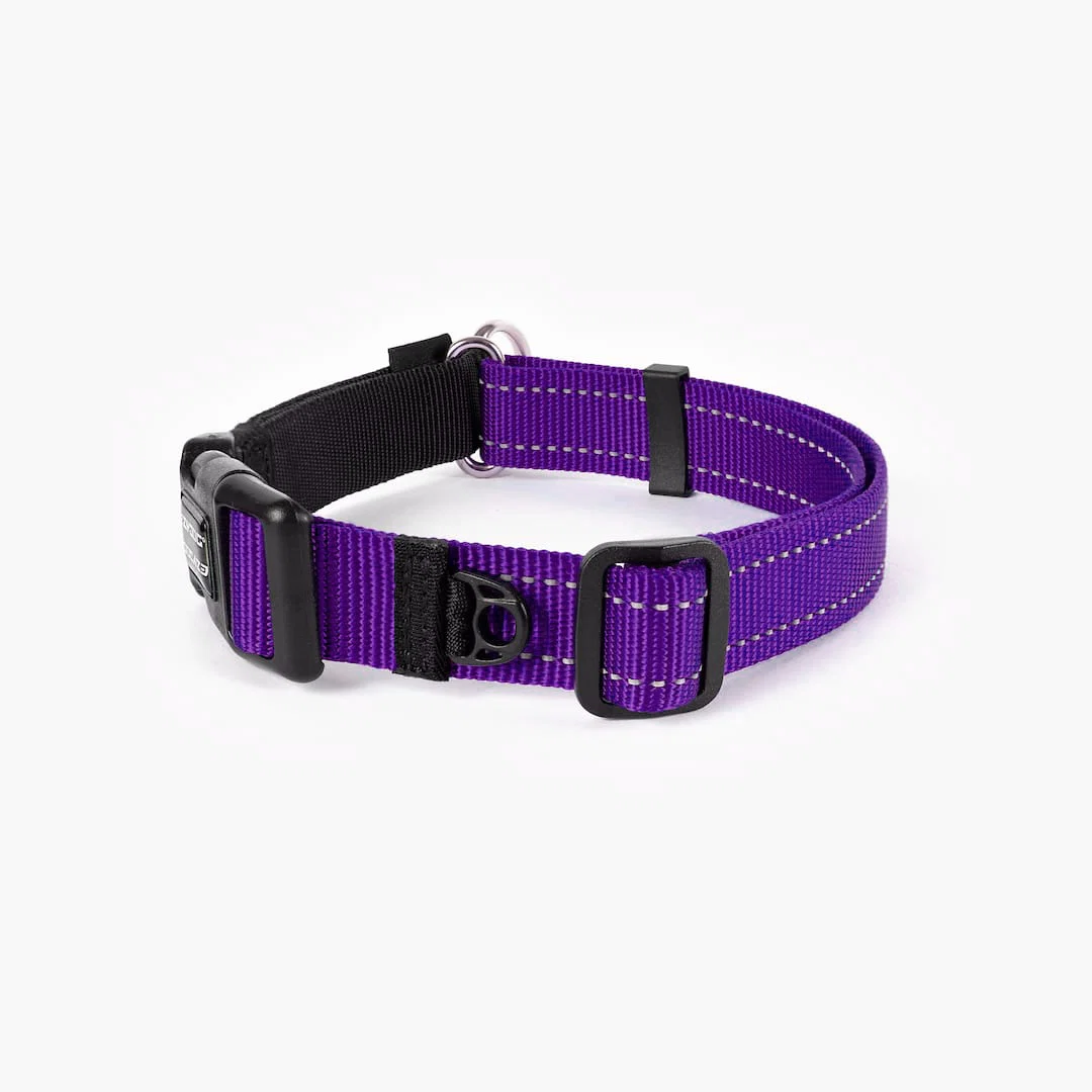 Checkmate™ Collar - Image 28
