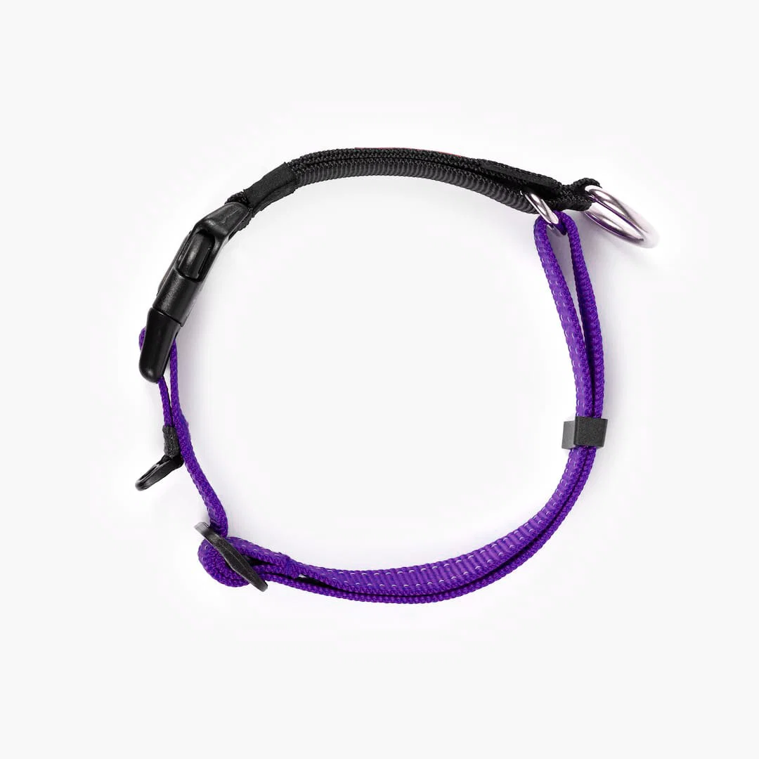 Checkmate™ Collar - Image 29