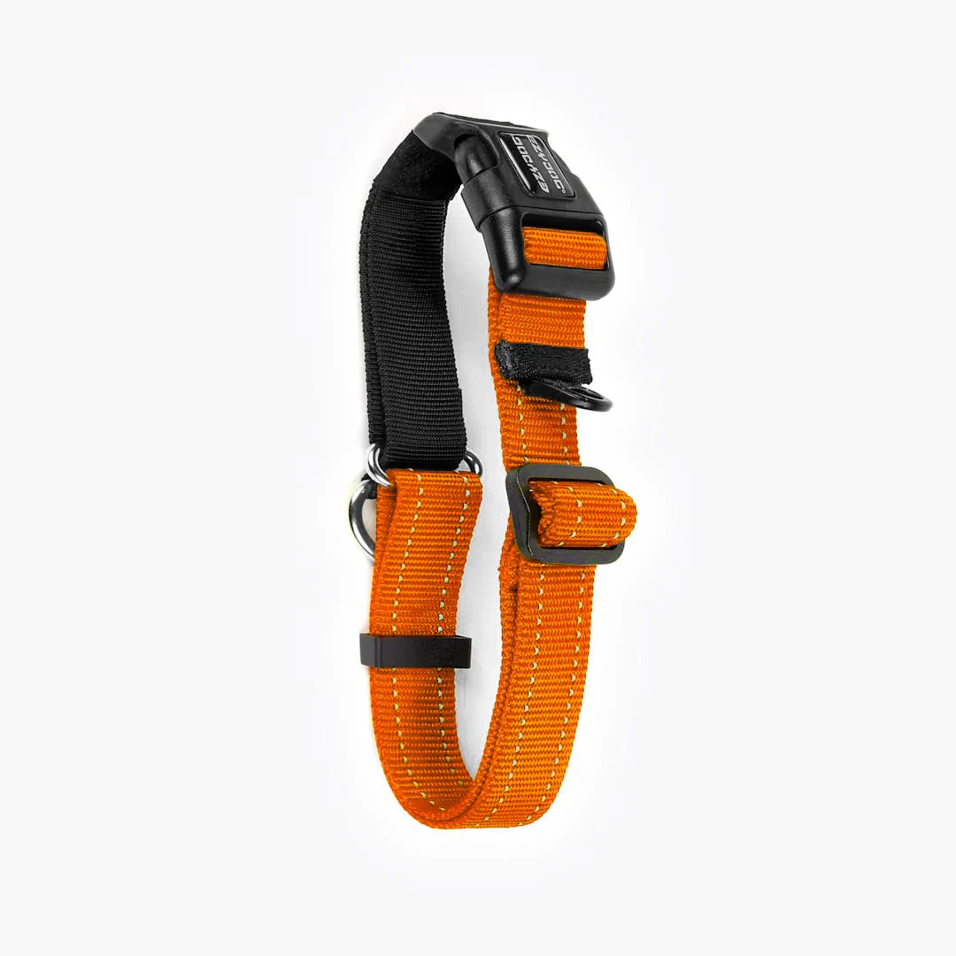 Checkmate™ Collar - Image 32