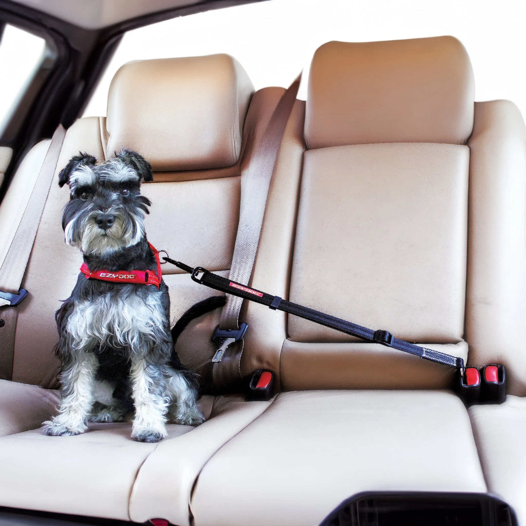 Click™ Adjustable Car Restraint - Image 4