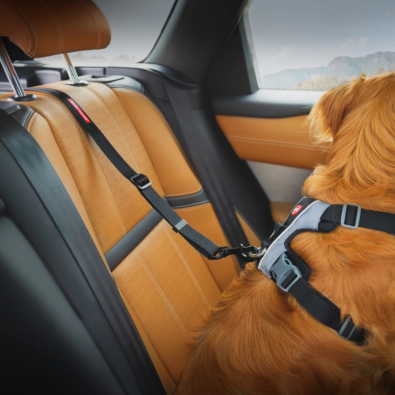 Click™ ISOFIX - Image 4