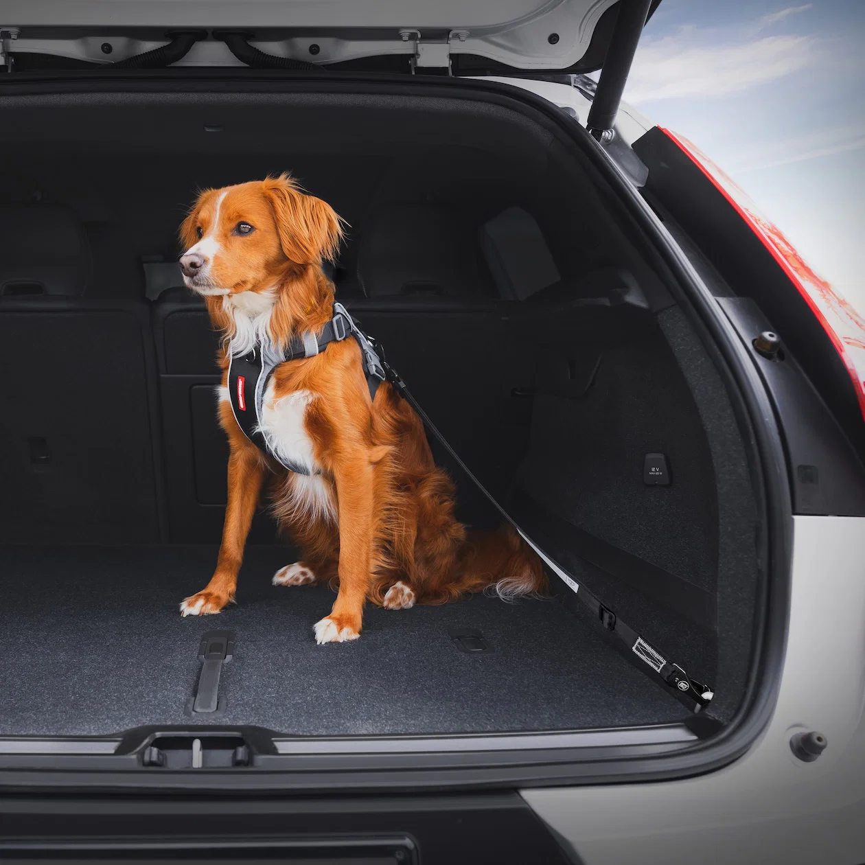 Click™ ISOFIX - Image 6