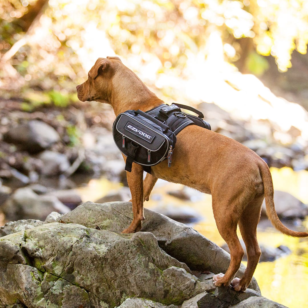 Convert™ Saddle Bags - Image 6