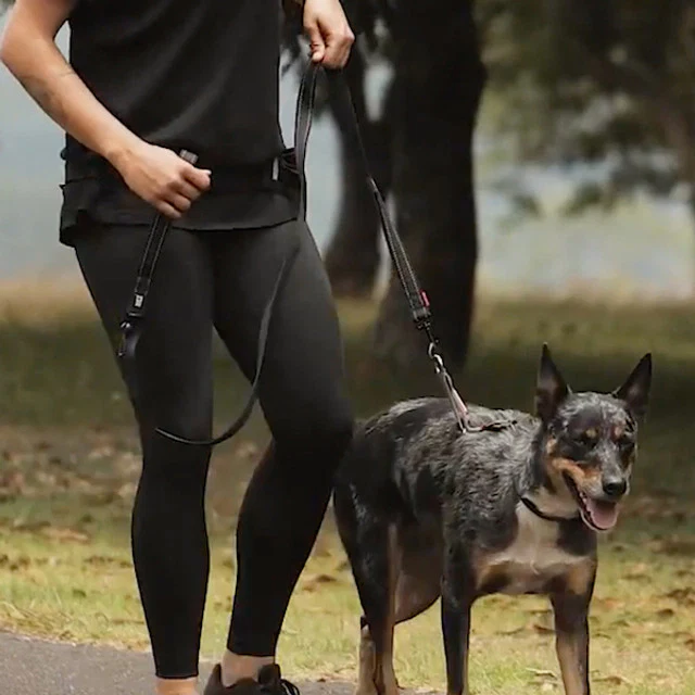 Crosscheck™ Dog Harness - Image 3