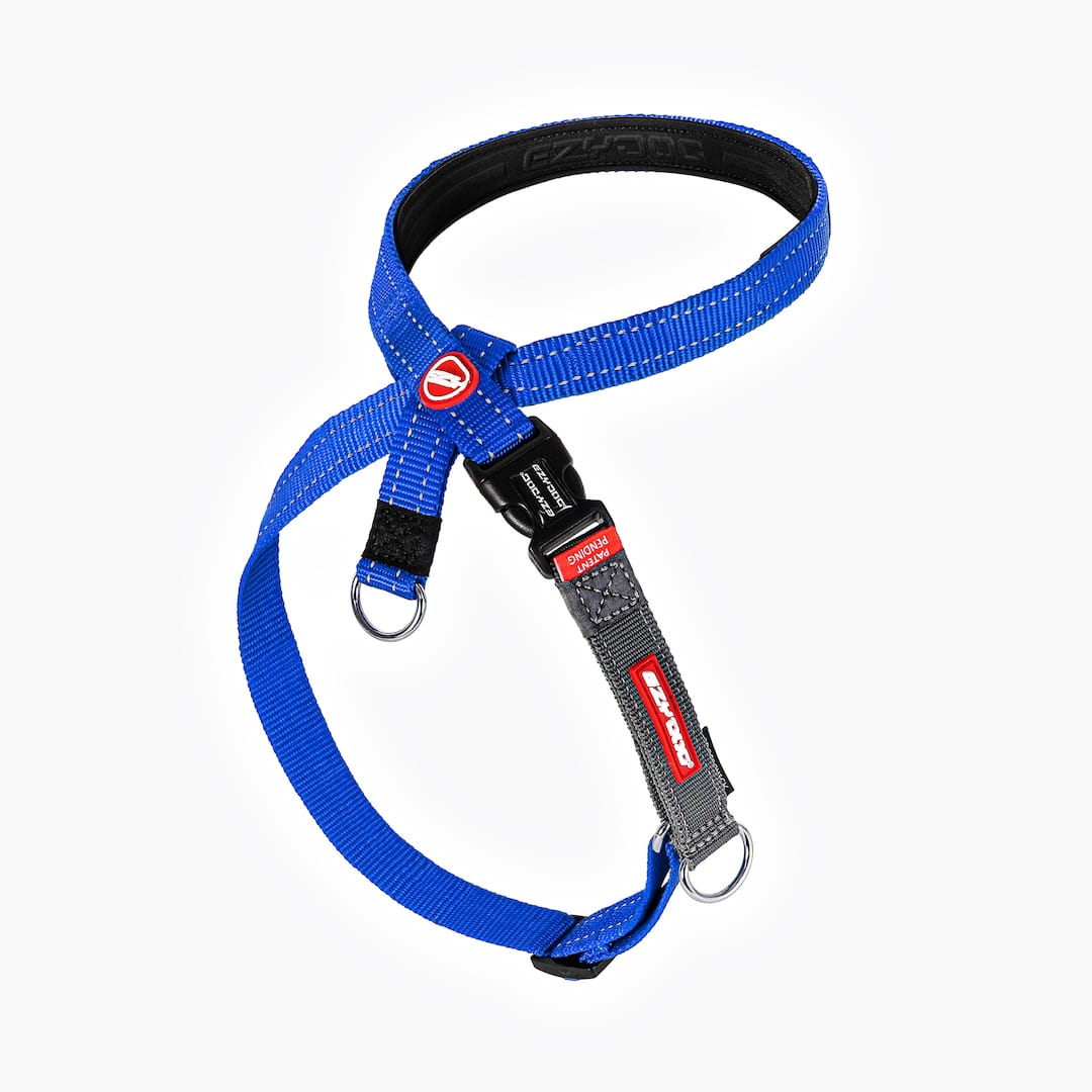 Crosscheck™ Dog Harness - Image 4
