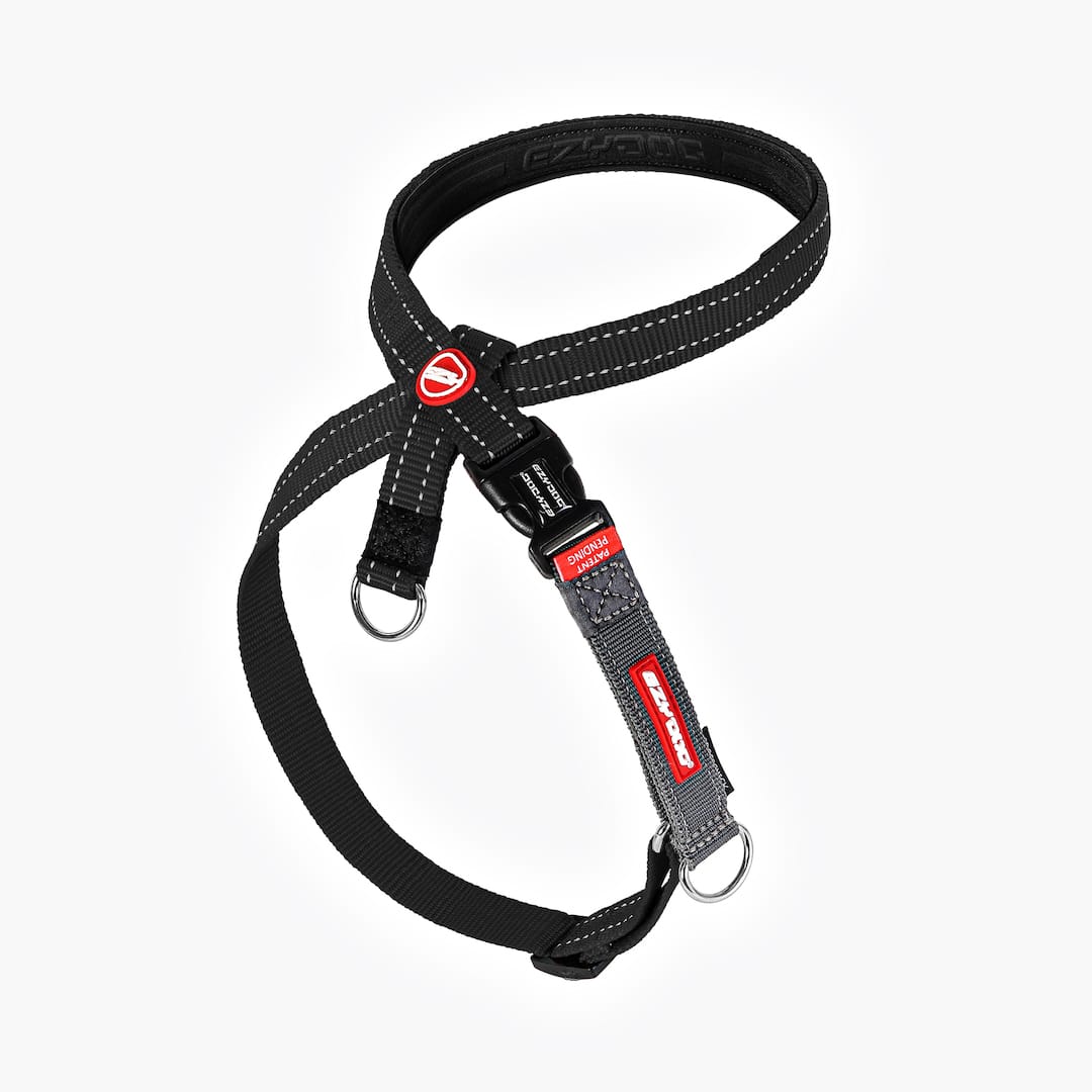 Crosscheck™ Dog Harness - Image 5
