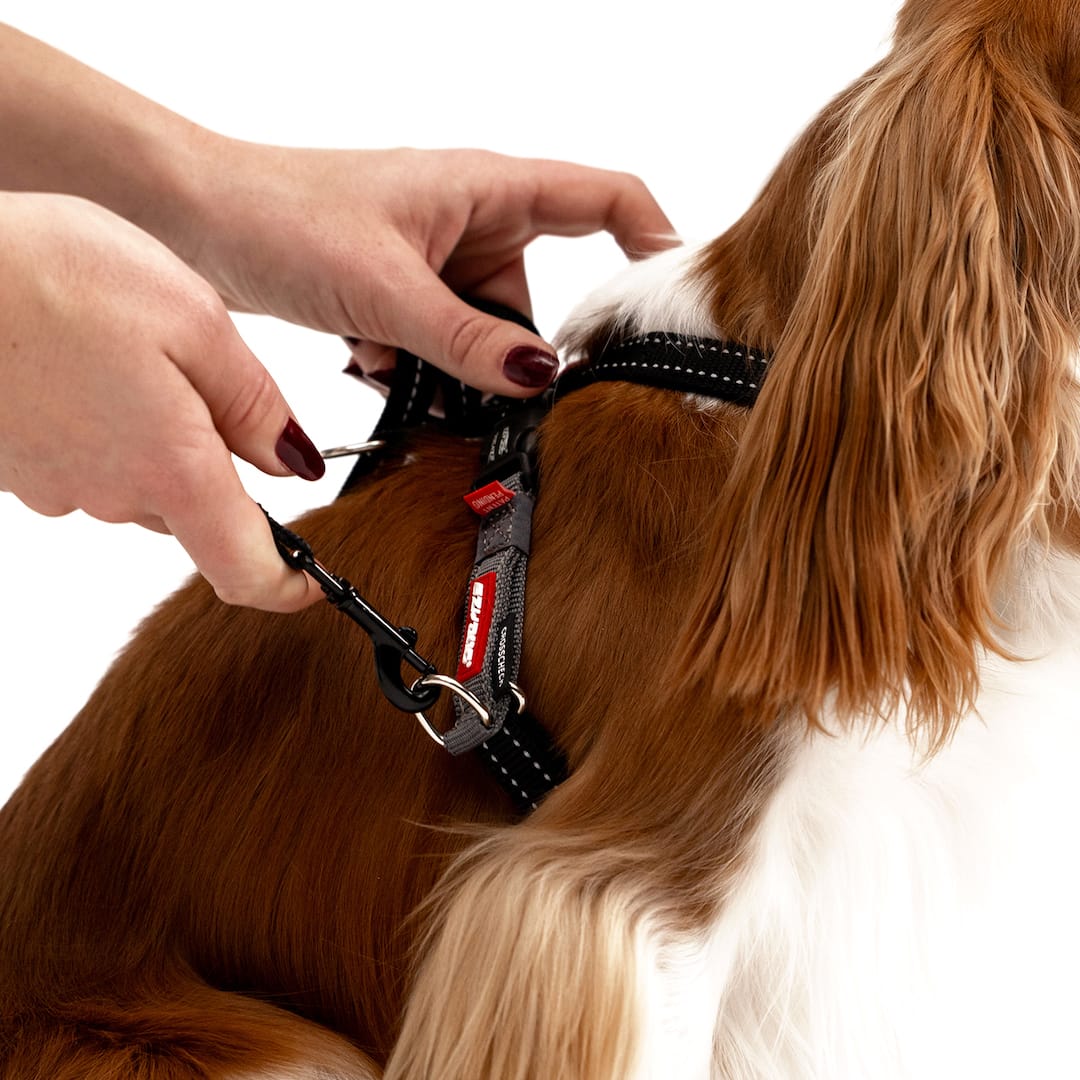 Crosscheck™ Dog Harness - Image 9