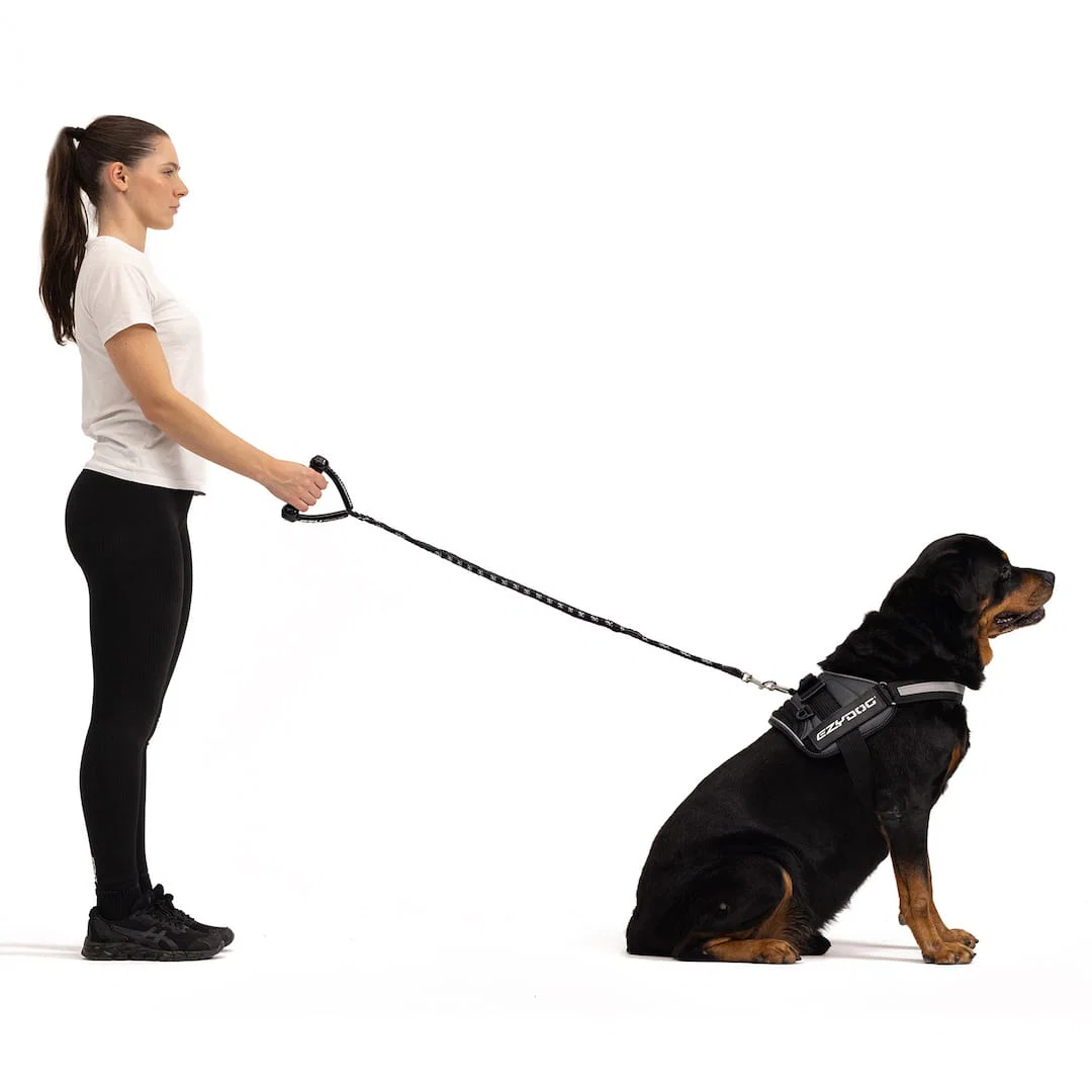 Cujo™ Leash - Image 10
