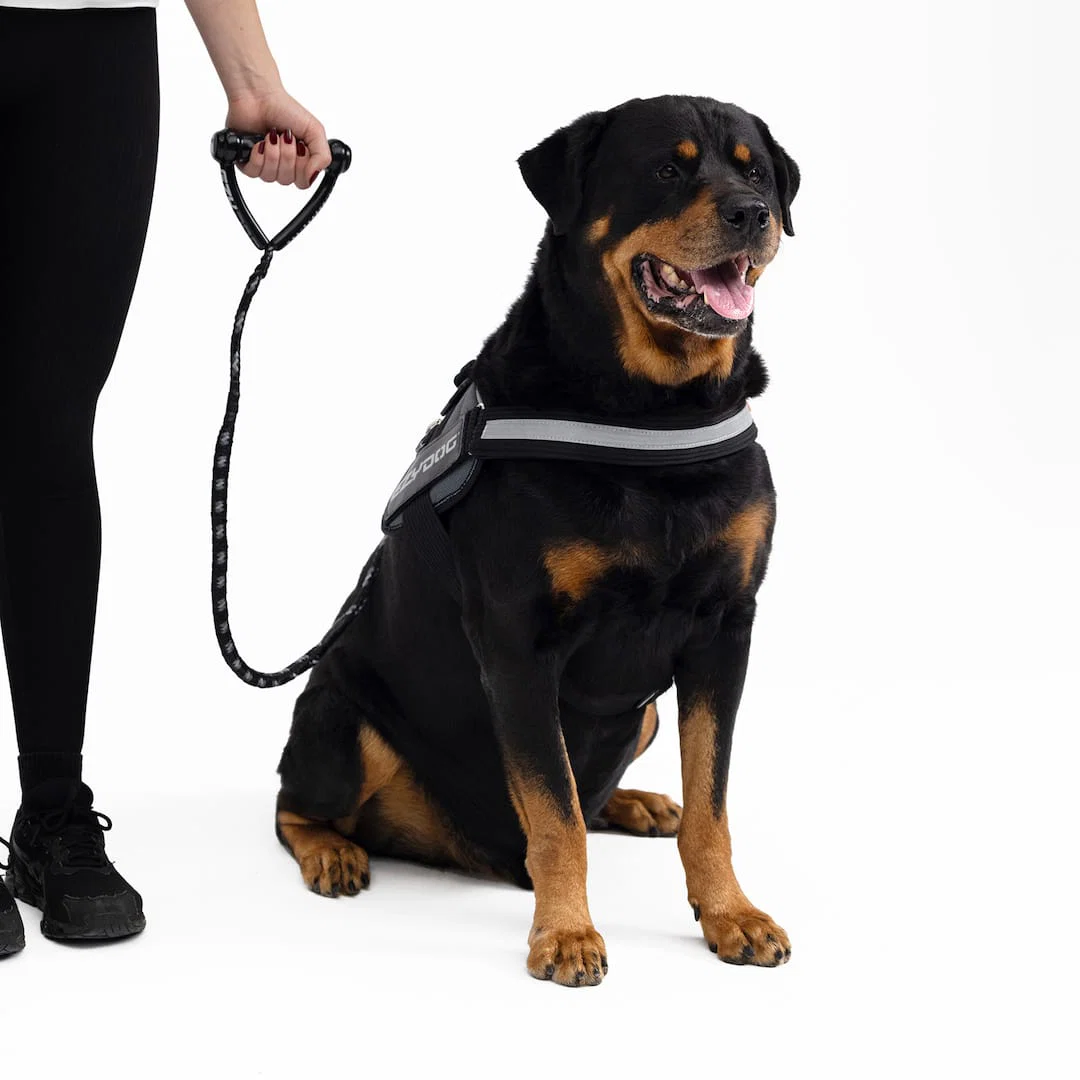 Cujo™ Leash - Image 9