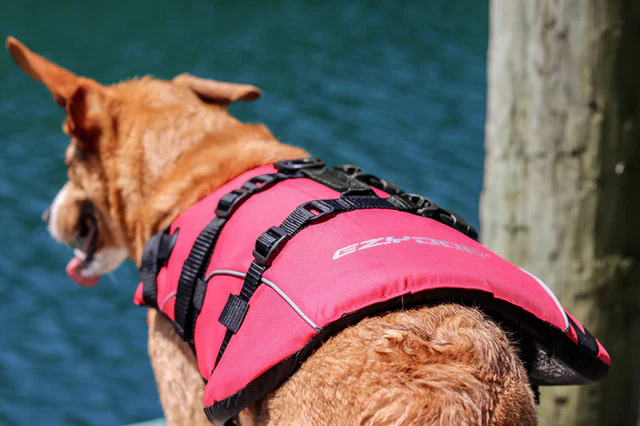 DFD™ Life Jacket - Image 4