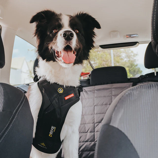 Drive™ Dog Car Harness - Image 3