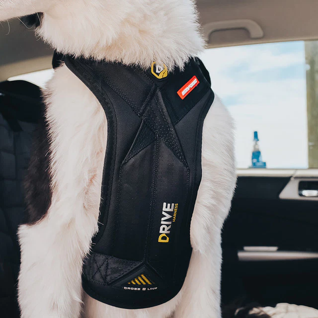 Drive™ Dog Car Harness - Image 4