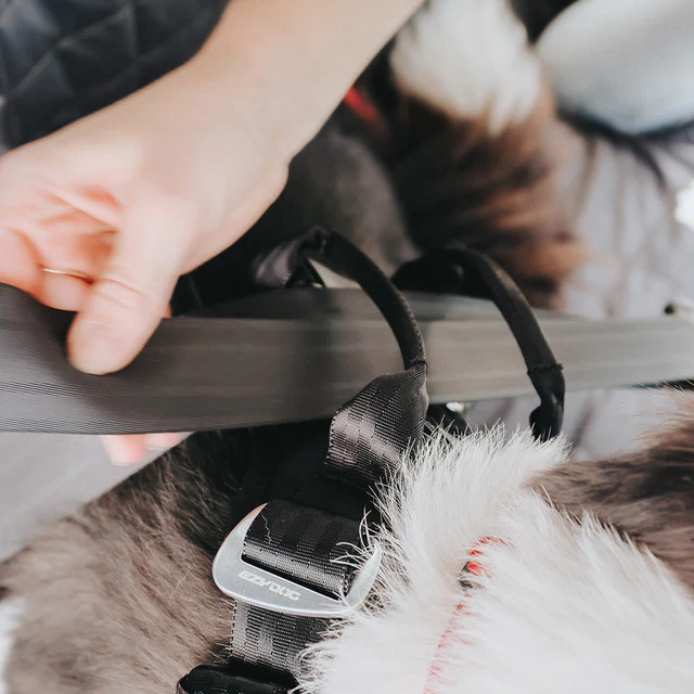 Drive™ Dog Car Harness - Image 5