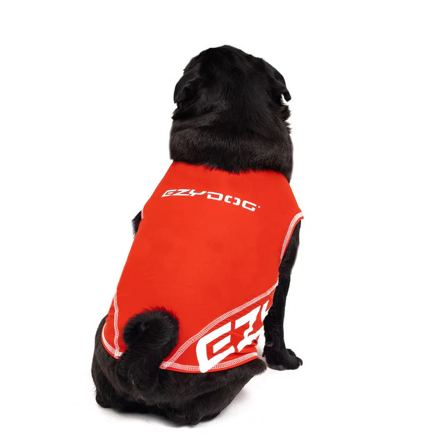 Dog Rashie Shirt - Image 5