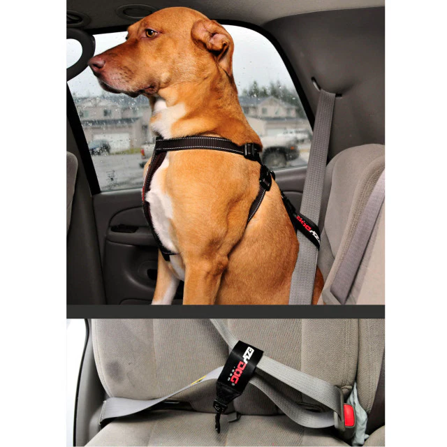 Seat Belt Restraint - Image 3