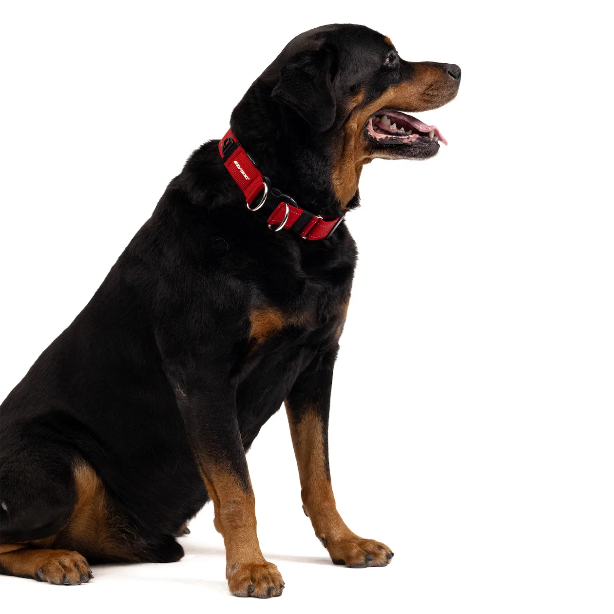 Double Up™ Collar - Image 3