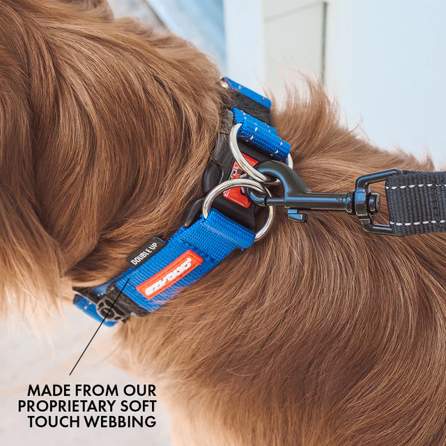 Double Up™ Collar - Image 4