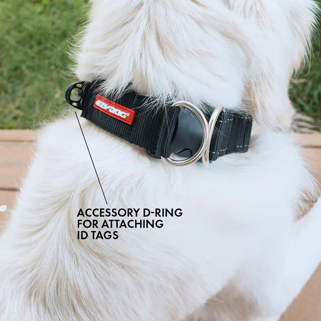 Double Up™ Collar - Image 6