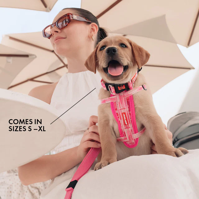 Double Up™ Collar - Image 8