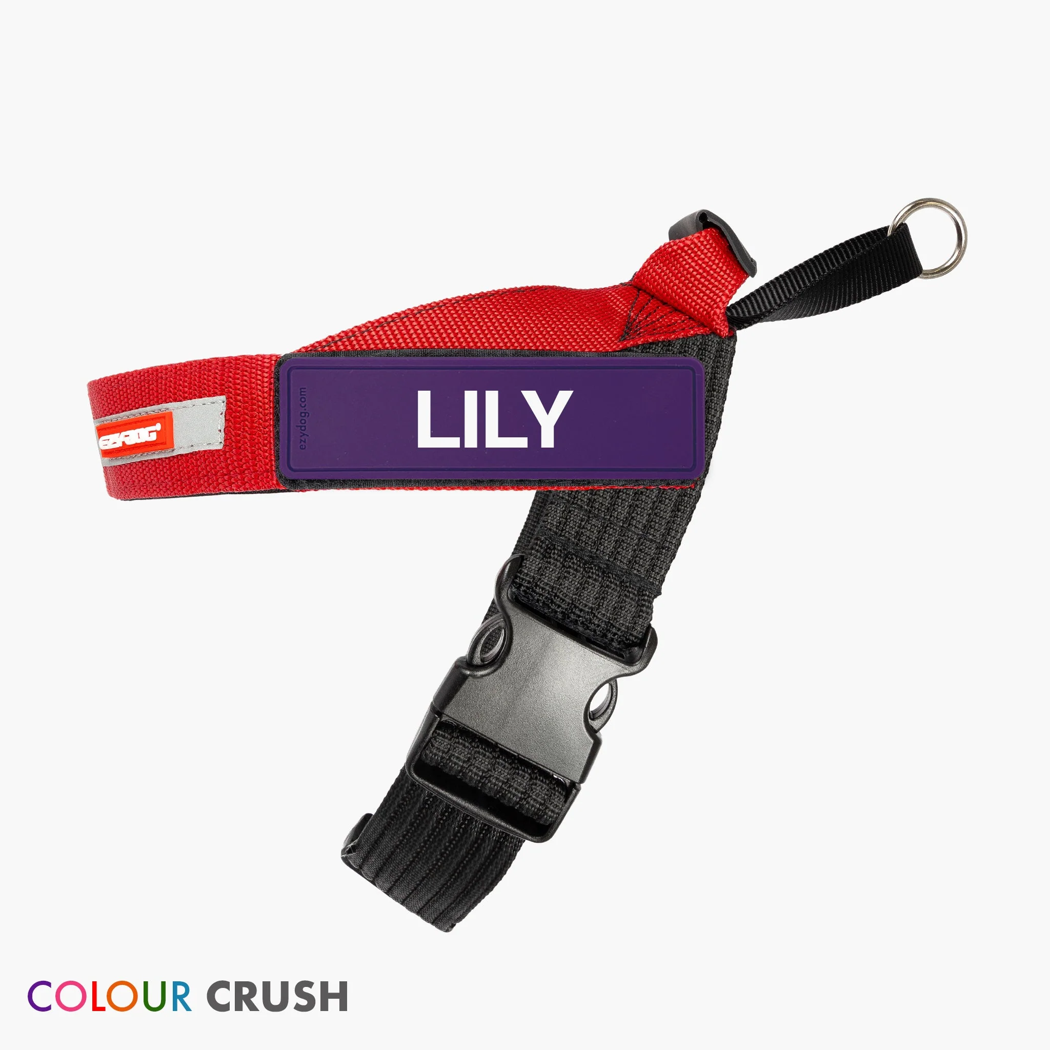 Express™ Dog Harness - Image 13