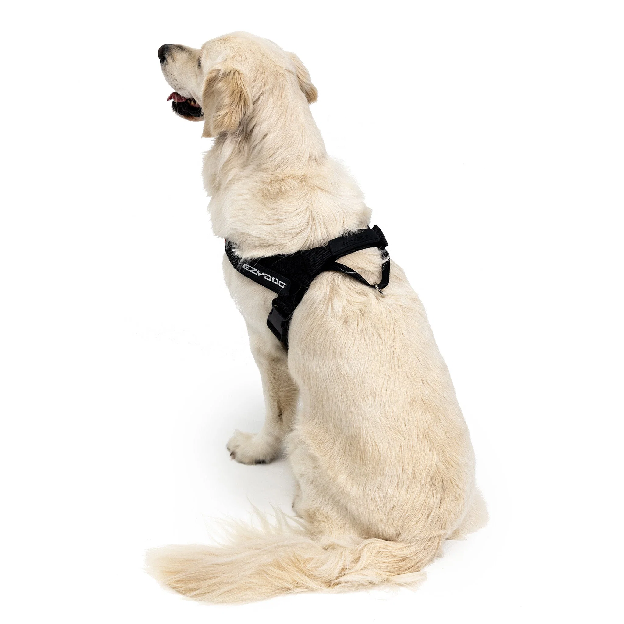Express™ Dog Harness - Image 15