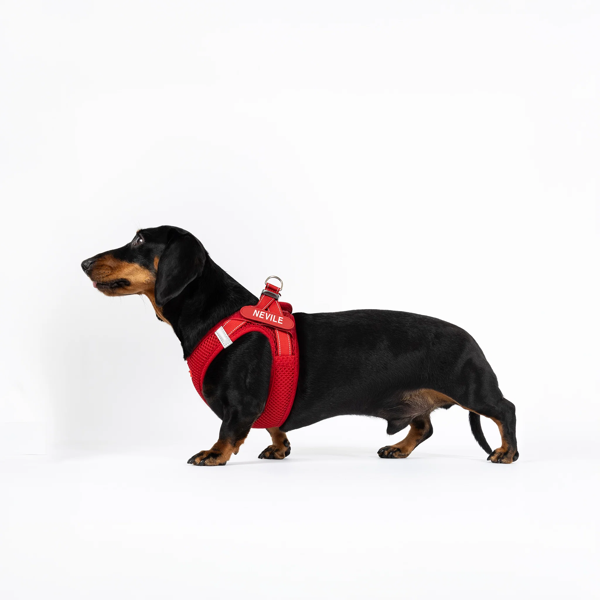 FORMFIT® Mesh Harness - Image 14