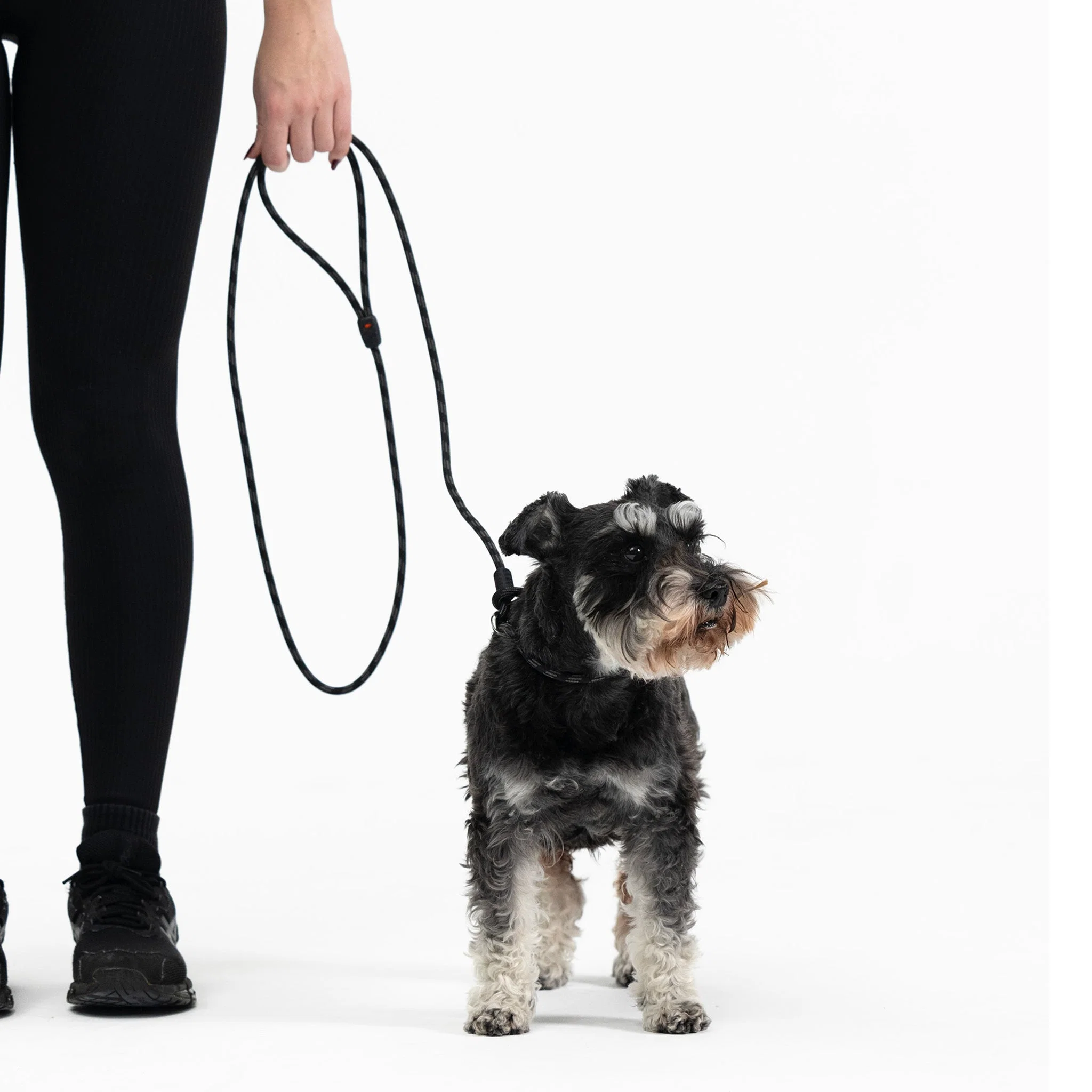 Luca™ Leash - Image 15