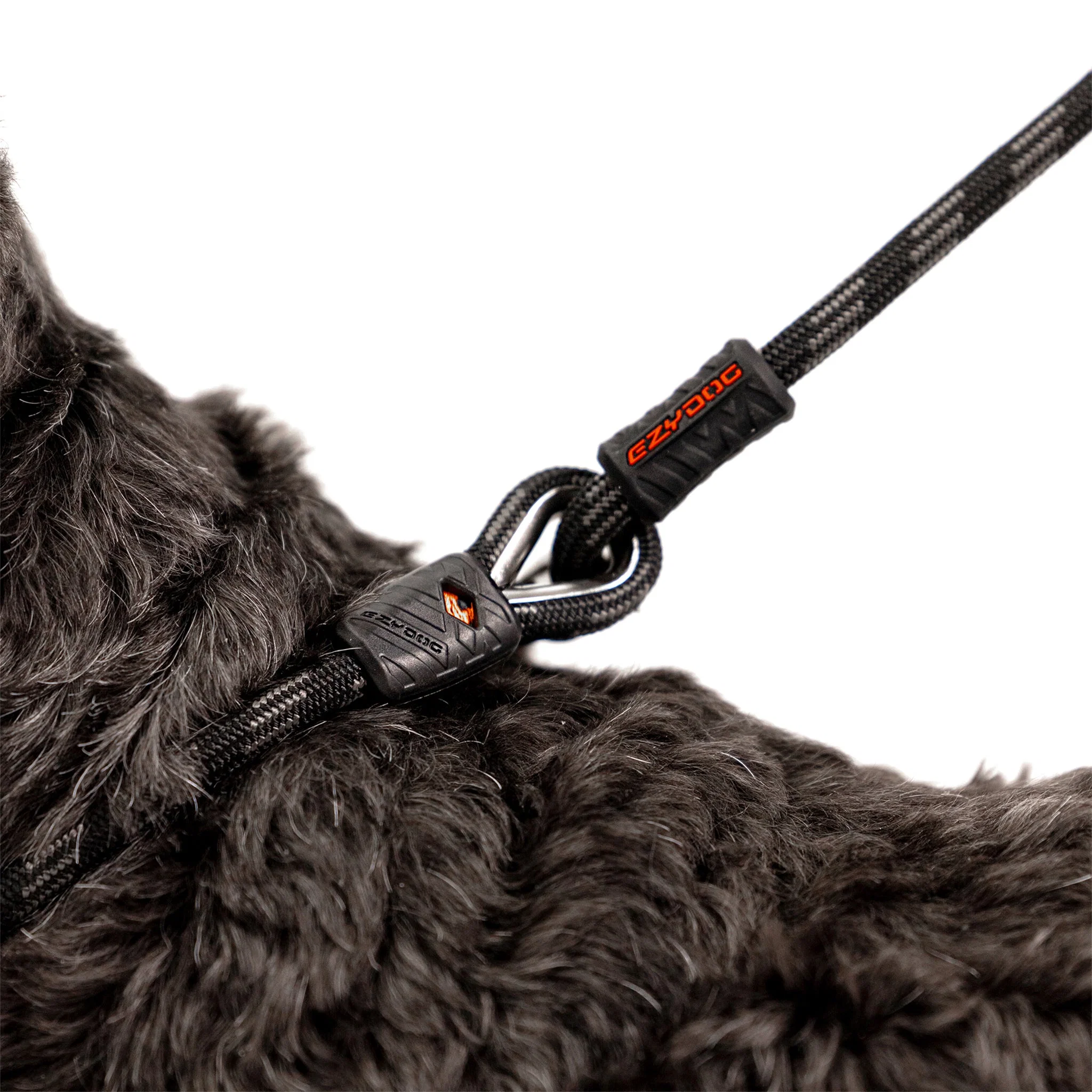 Luca™ Leash - Image 4