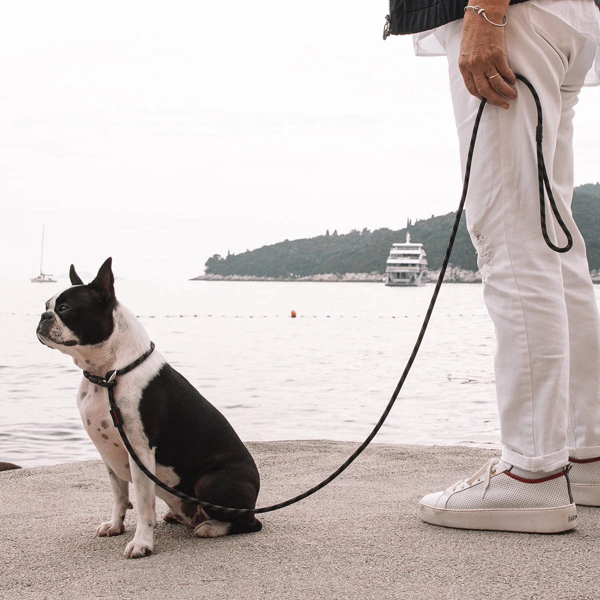Luca™ Leash - Image 6