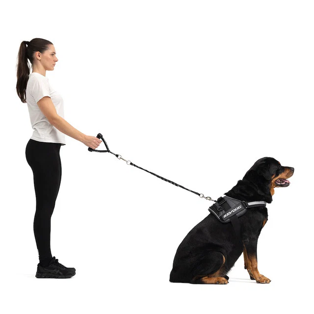 Mongrel™ Extensions - Image 4