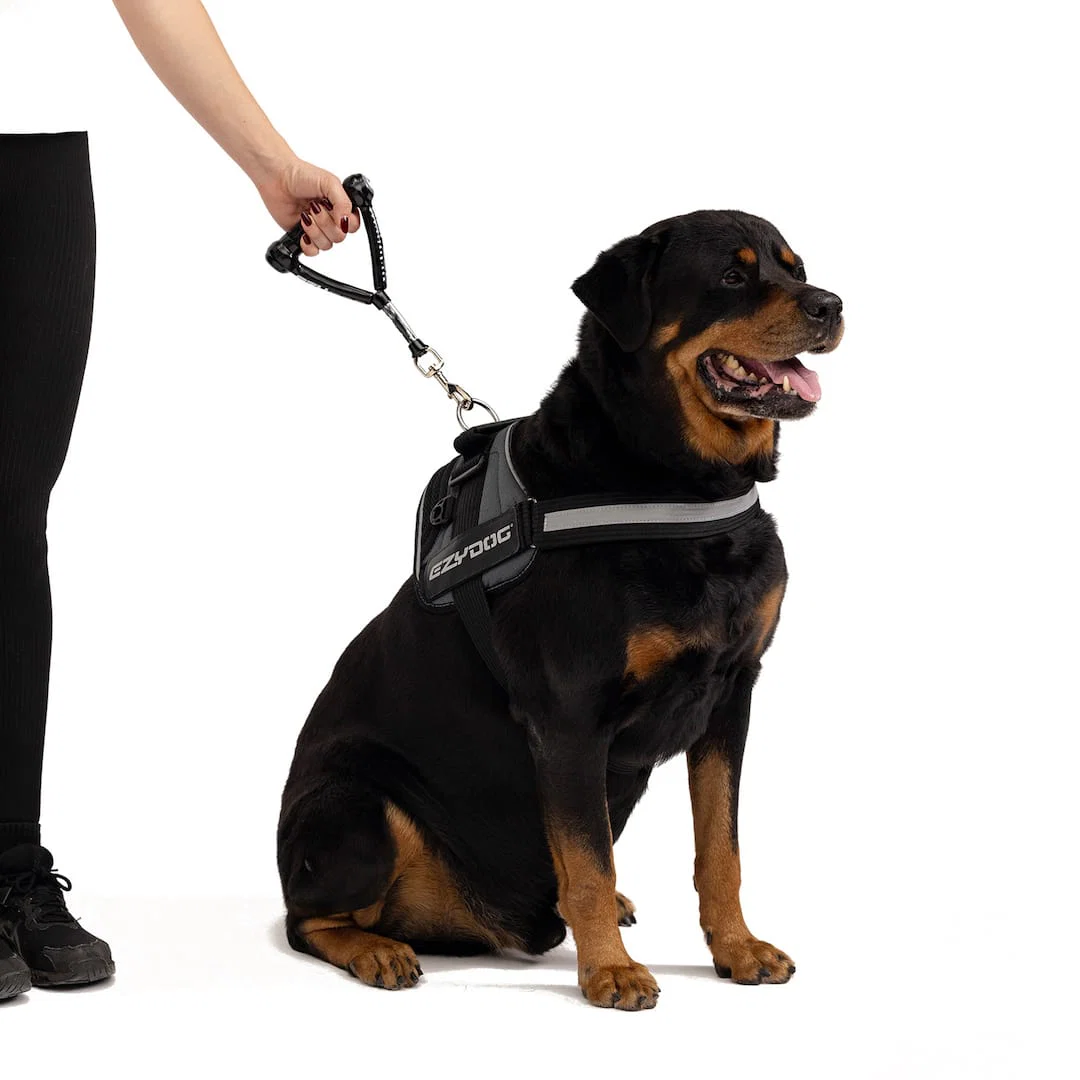 Mongrel™ Leash - Image 2