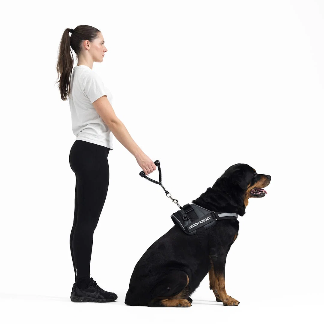 Mongrel™ Leash - Image 3