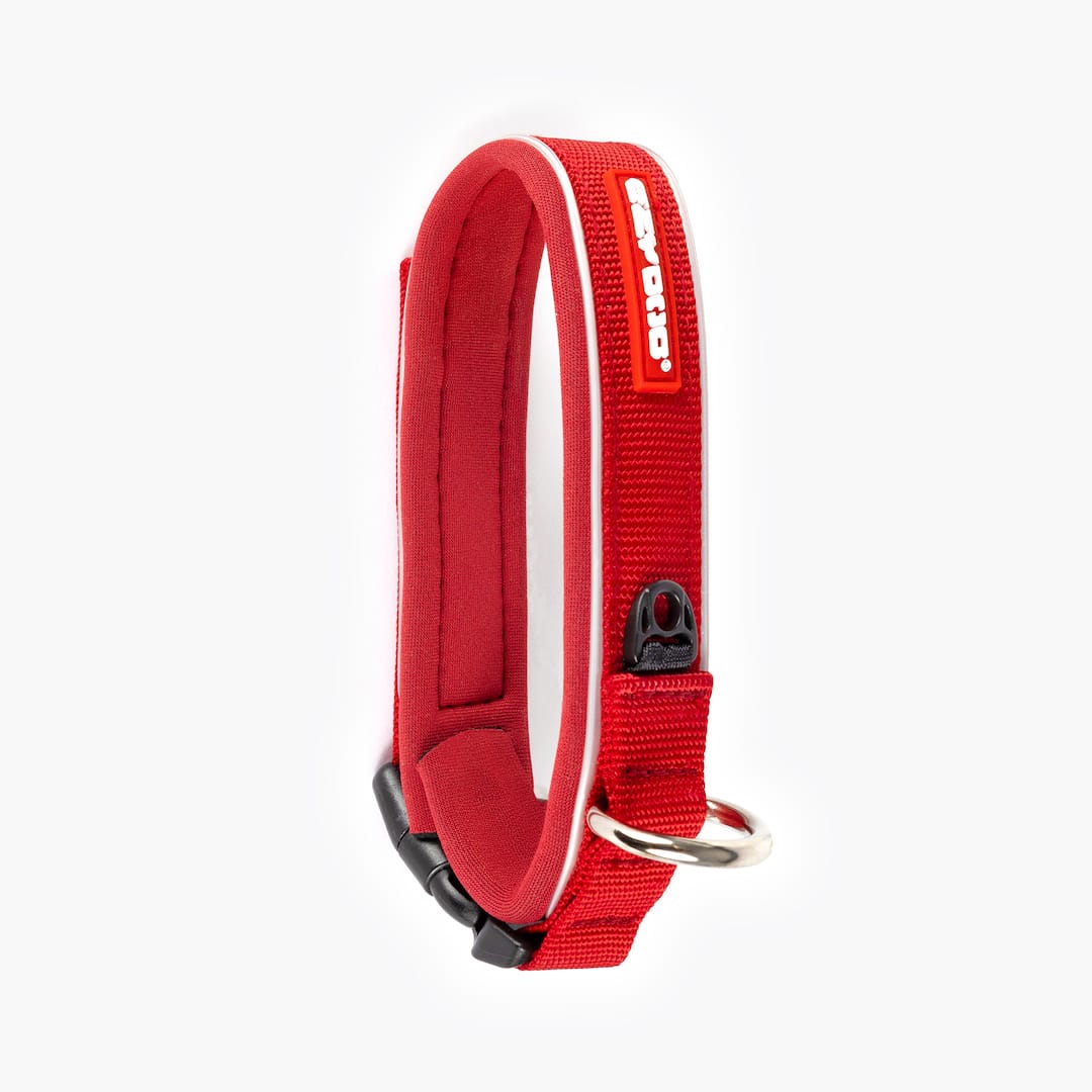 Neo™ Collar - Image 17