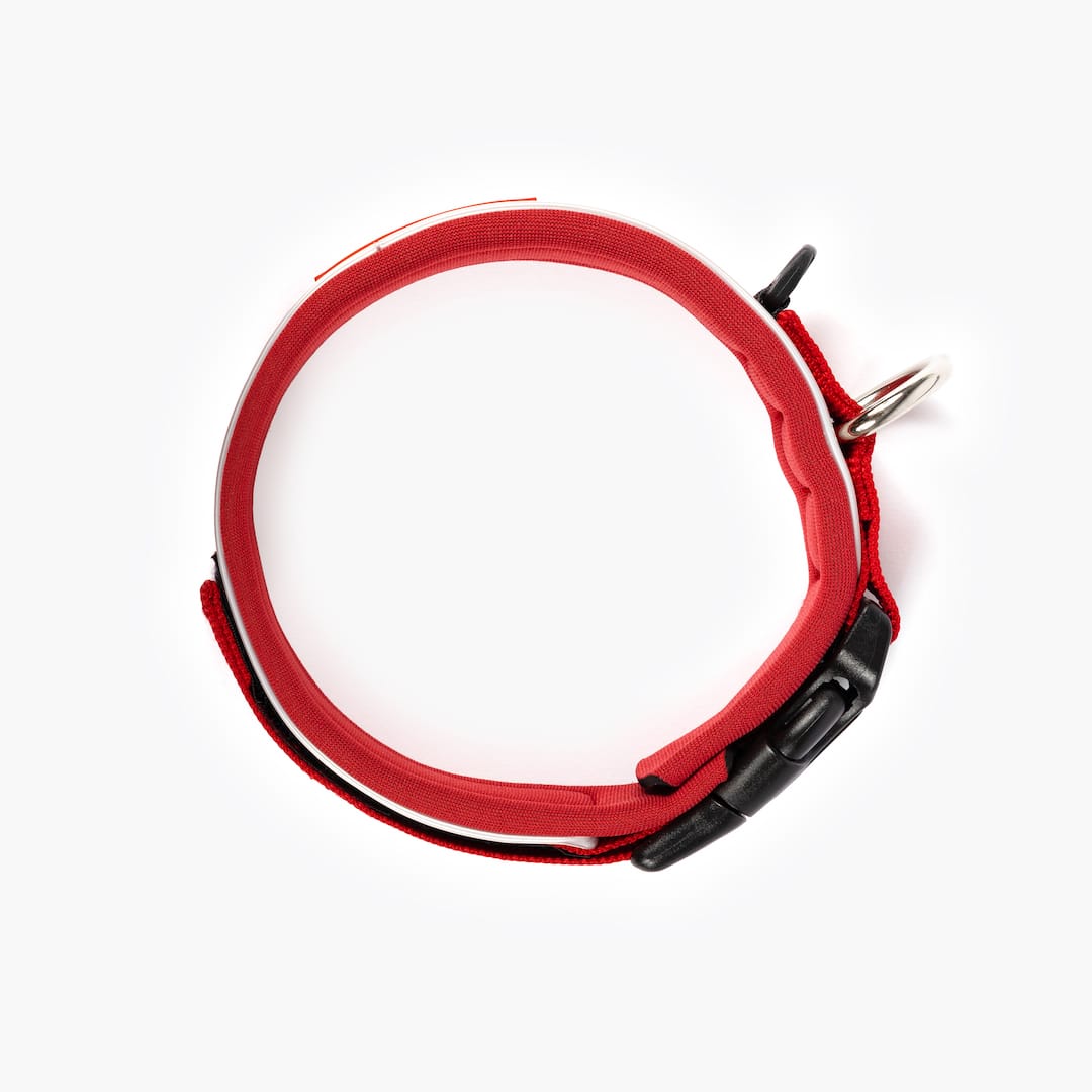 Neo™ Collar - Image 20