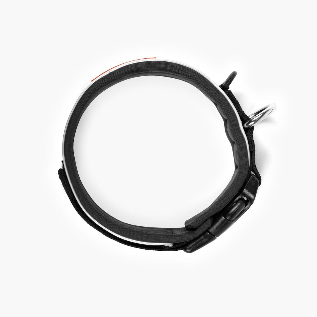 Neo™ Collar - Image 25