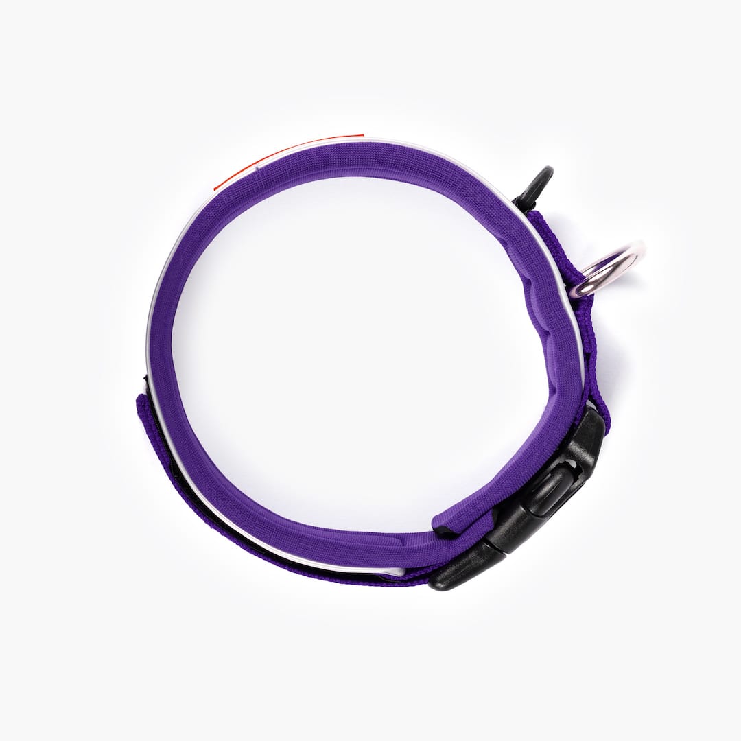 Neo™ Collar - Image 30