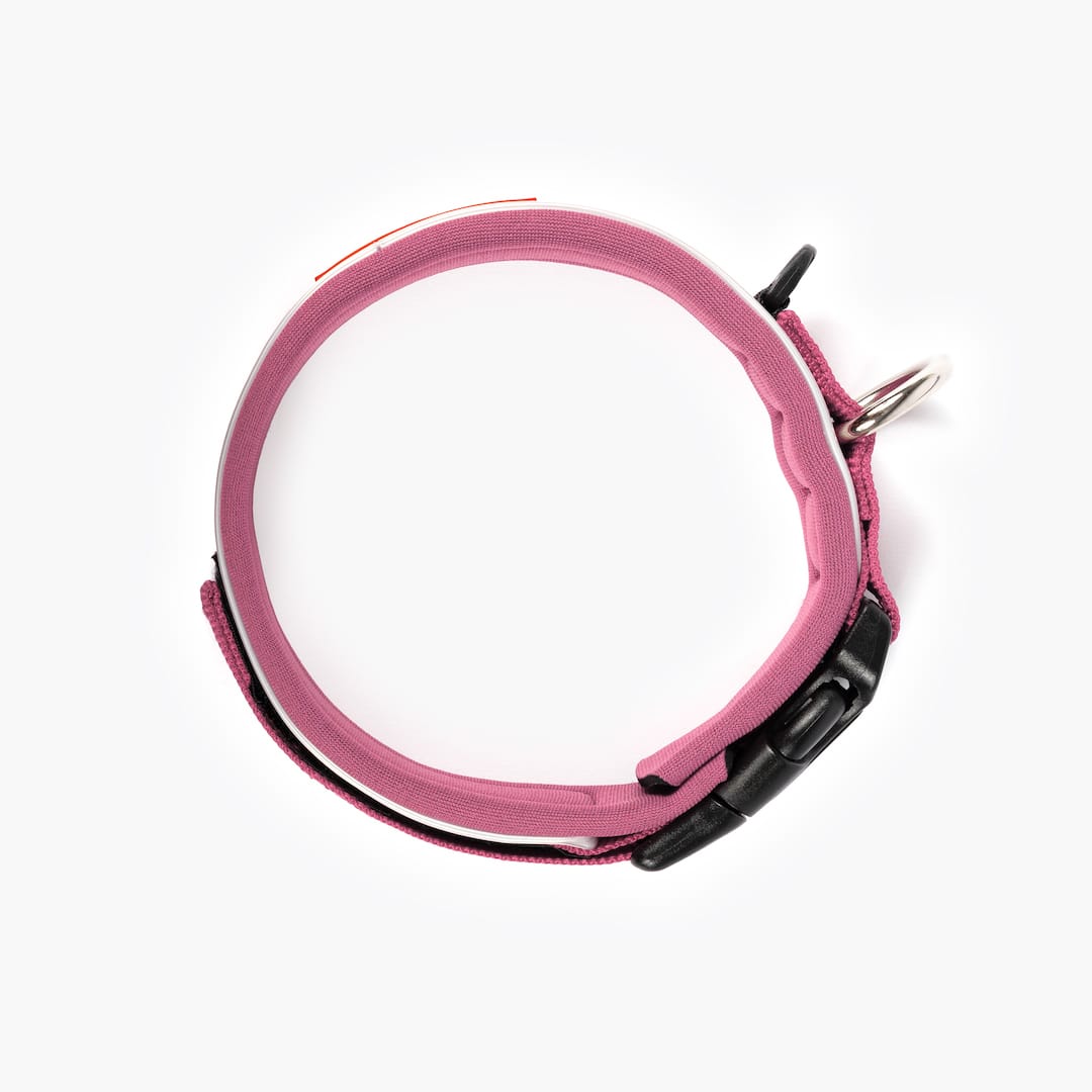 Neo™ Collar - Image 37