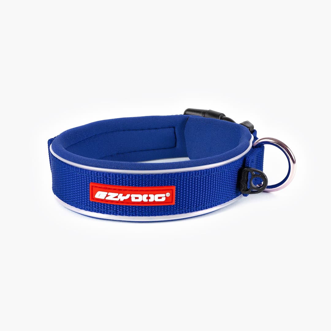 Neo™ Collar - Image 5