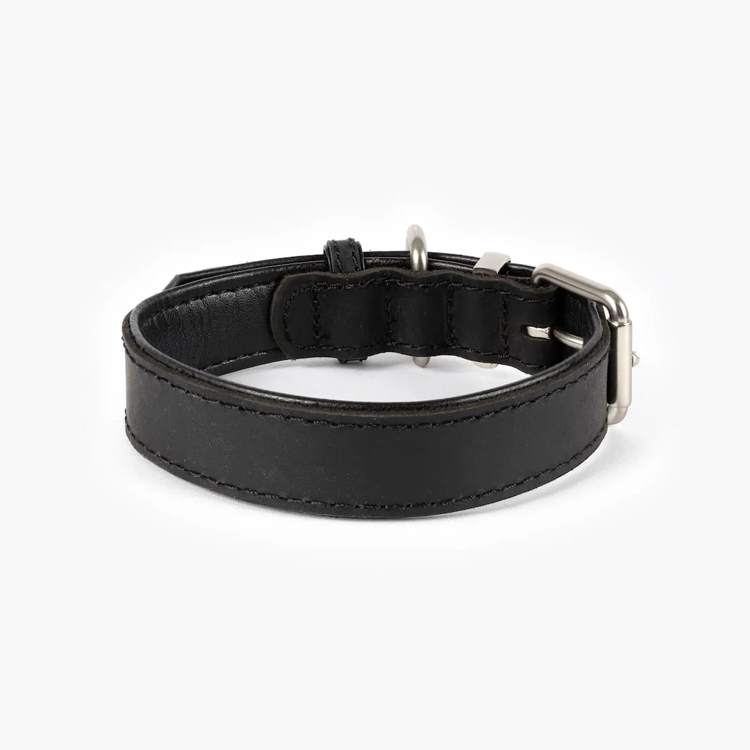 Oxford Leather - Classic Collar - Image 14