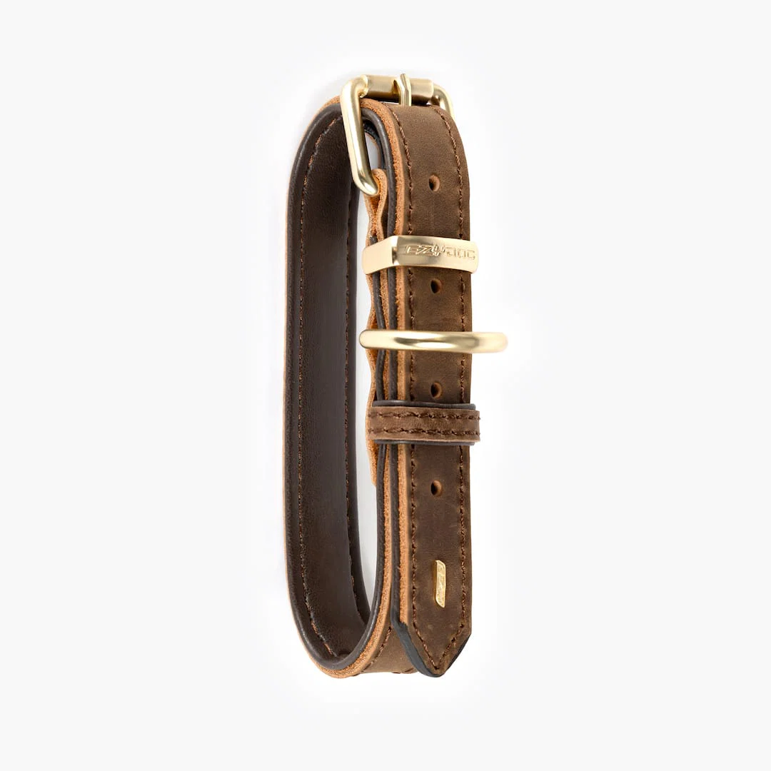 Oxford Leather - Classic Collar - Image 7