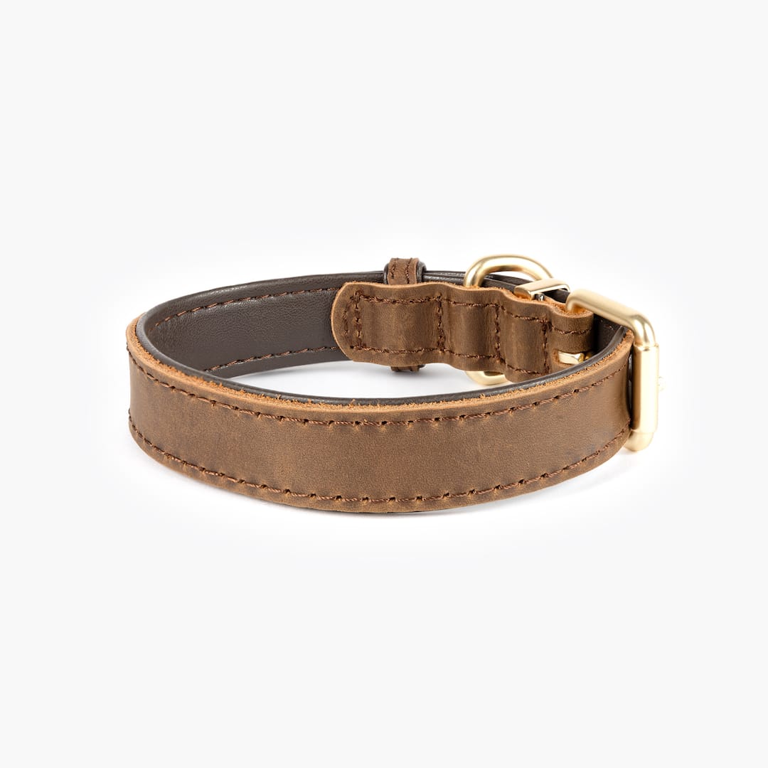 Oxford Leather - Classic Collar - Image 9
