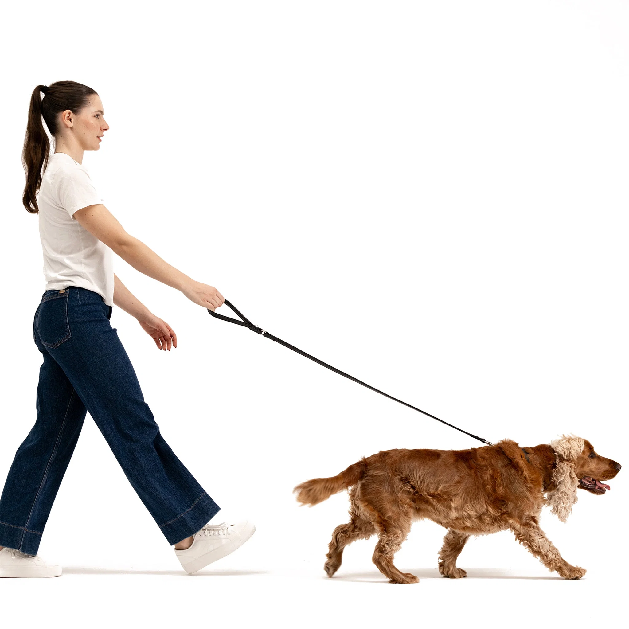 Oxford Leather - Classic Leash - Image 6