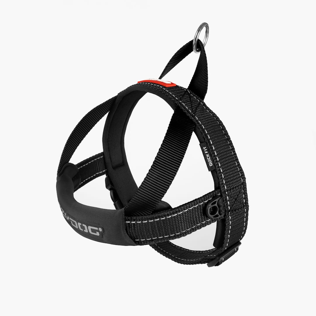 Quick Fit™ Dog Harness - Image 5