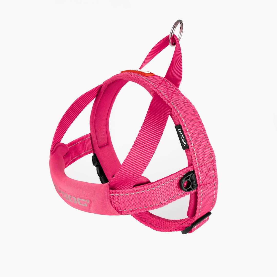 Quick Fit™ Dog Harness - Image 6