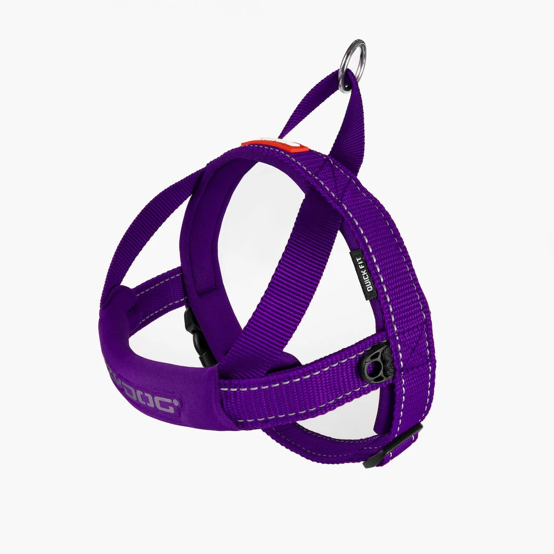 Quick Fit™ Dog Harness - Image 7